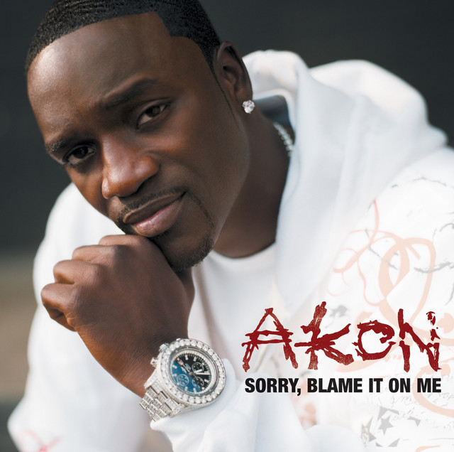 Akon – Sorry, Blame it on me (Instrumental)